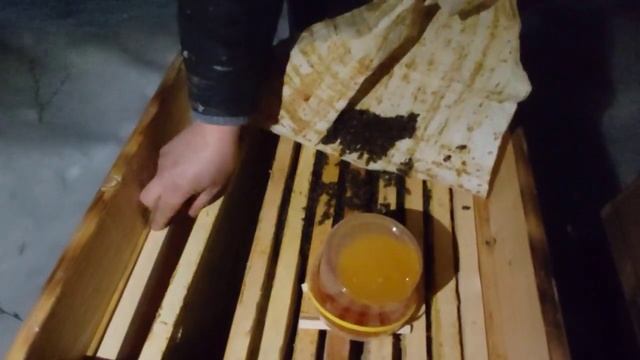 Проблемы при зимовке пчел и их решение. Наващивание рамок. смотреть онлайн