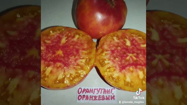 Обзор томатов Могучее вымя , Орангутанг оранжевый и Дедушкино петушиное пёрышко. смотреть онлайн