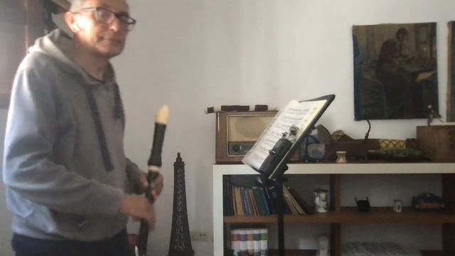 J. S. Bach, Allegro BWV 1033, for tenor recorder and bc смотреть онлайн