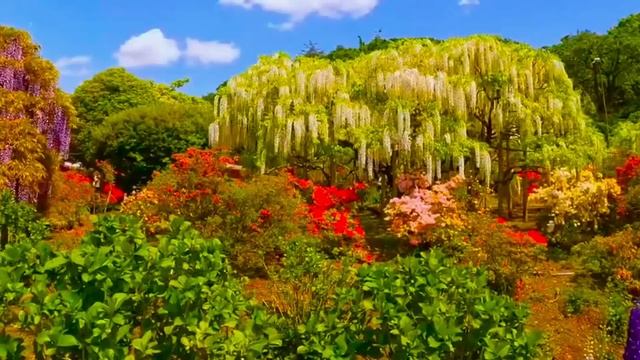 РАДОСТЬ ВСЕГДА УМНОЖАЕТ ИЗОБИЛИЕ ⚡️@novoe_probujdene_chelovchestva смотреть онлайн