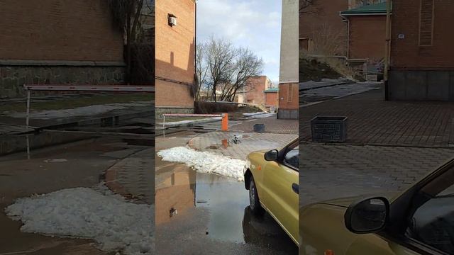 По дороге на рынок. Капель в Полтаве смотреть онлайн