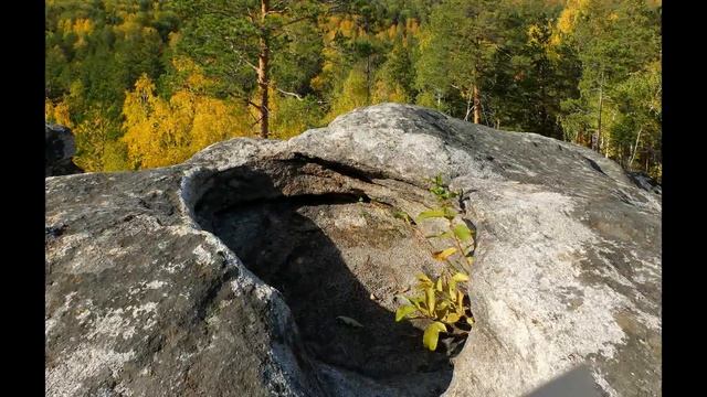 Листьями пошуршать ... смотреть онлайн