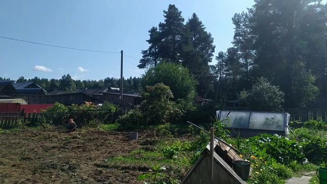 ГРИБЫ. КАРТОШКА. ДЕРЕВНЯ ВАЖИНЫ. смотреть онлайн