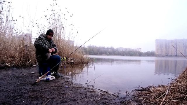 О таком клеве мечтают многие. Карась на донные снасти, Фидерная рыбалка. смотреть онлайн