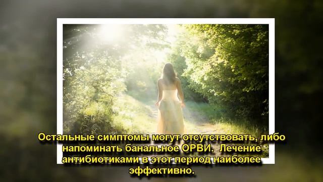 ОБЯЗАТЕЛЬНО ДЕЛАТЬ АНАЛИЗЫ ПОСЛЕ УКУСА КЛЕЩА? смотреть онлайн