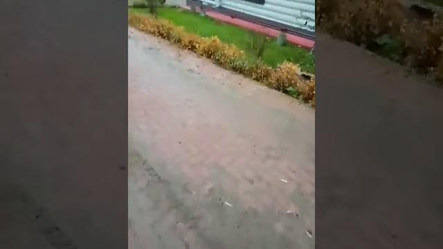 Сборка и установка автоматических откатных ворот Дорхан смотреть онлайн