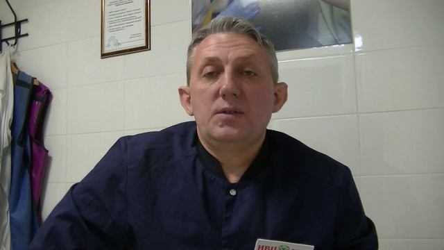 Два простых правила для сохранения здоровья птицы. смотреть онлайн