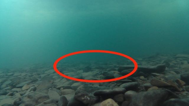 Зимняя рыбалка в январе на речке Барда ниже бывшего поселка Подсосновое смотреть онлайн