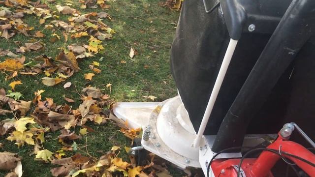 Eurosystem P70 with Lawn Vacuum смотреть онлайн