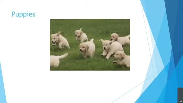 Panel 9: Breakthroughs And Ethics—New Social History Of Pharmacy & Pharmaceuticals Festival