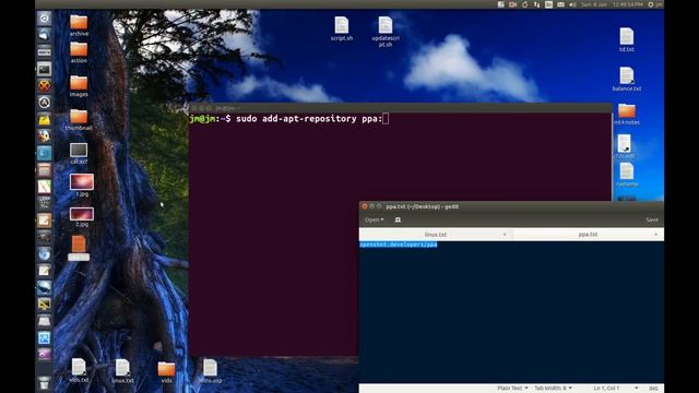 How to remove a ppa from Ubuntu or Linux Mint смотреть онлайн