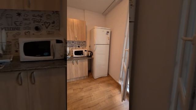 Сдаётся светлая однокомнатная квартира ? смотреть онлайн