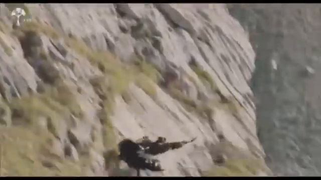 Хочешь жить умей крутиться смотреть онлайн