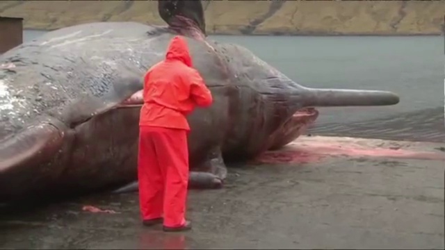 [Surprise Mazafaka] ТОП ПРИКОЛОВ / BEST FUNNY VIDEO #26 [CricketChanel] 