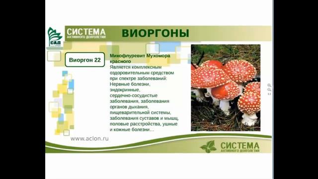 Виоргон 22. Кожные и др.заболевания. смотреть онлайн