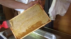 Пчеловодство в Германии . Часть 2.