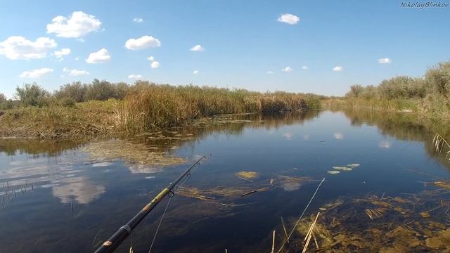 Рыбалка в сентябре/на р Уил Актюбинская обл ВЕЧЕРНИЙ ЖОР! ЩУКА/ОКУНЬ/ ПЛОТВА! смотреть онлайн