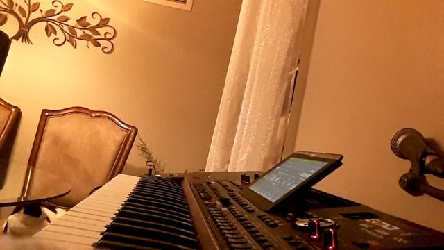 Hej pellumba (Gurbeti) Albanian music Ballad Vahde Turkish music Instrumental Korg pa1000 смотреть онлайн