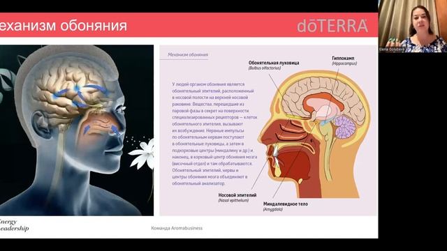 Занятие 1 Эмоциональная Ароматерапия смотреть онлайн