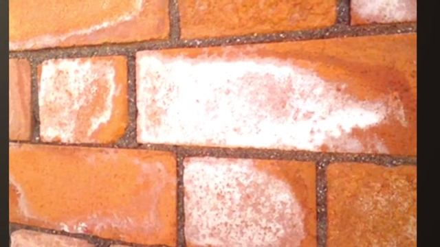 Стимул Кубань Строй