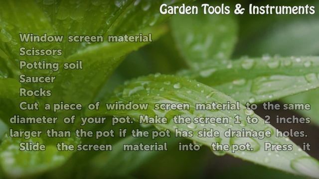 How to Cover Drainage Holes in Pots смотреть онлайн