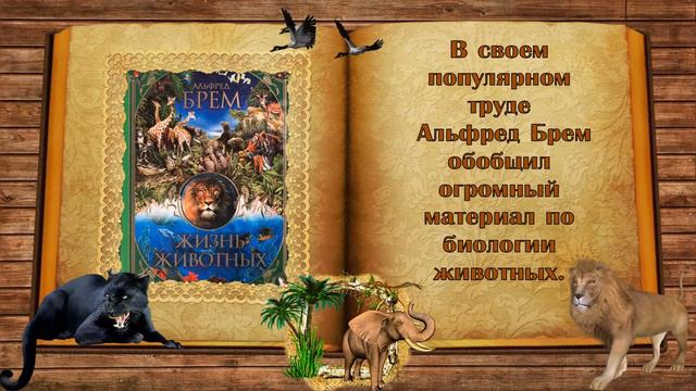 Жизнь животных смотреть онлайн