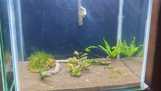 Новые аквариумы кубики под креветок смотреть онлайн