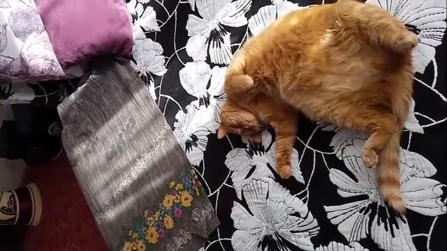 Медитация перед сном смотреть онлайн