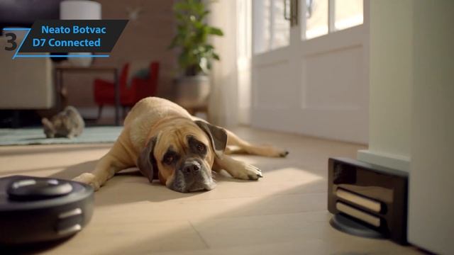 Top 5 Best Robot Vacuum of [2020] смотреть онлайн