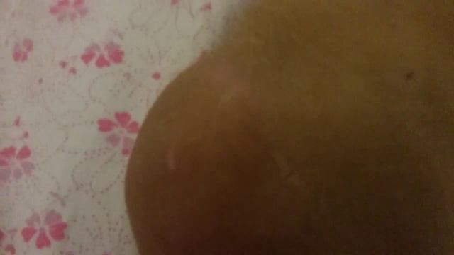 Бешаный Коооооот опасно смотреть онлайн