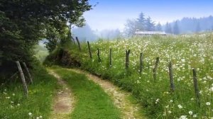 _Мне бы в юность вернуться_  Сергей Потапов