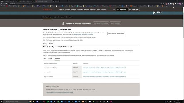 COMO *CREAR SERVIDOR* MINECRAFT 1.19.3 *SIN PROGRAMAS* | ISMXXEL | 2022 смотреть онлайн