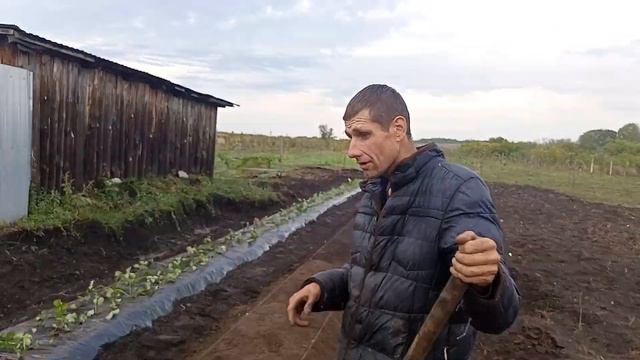 Чем занимаюсь в свой выходной! смотреть онлайн