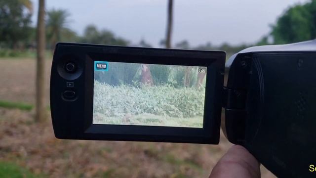 সস্তায় সনি হেন্ডিকেম !! Sony 60X Wide ZOOM 330E Handycam Photo/Video Camera in Water Prices смотреть онлайн