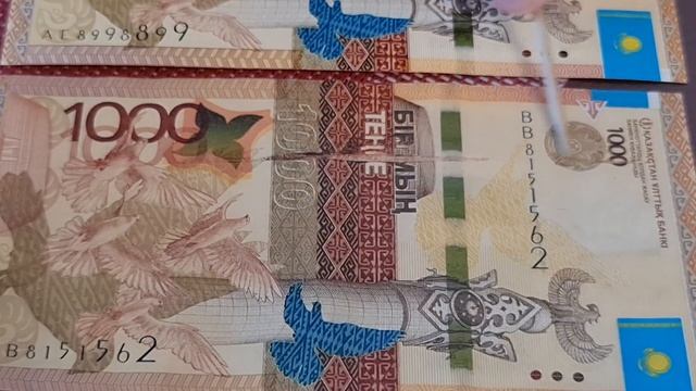 Она чувствует себя как размазня! Брак на купюре 1000 тенге 2014 года нашёл зритель из Караганды смотреть онлайн