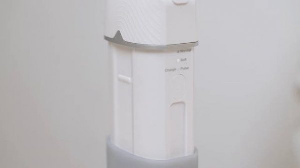 B.Well Swiss PRO-913 EN