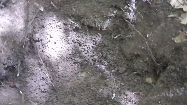 Эти находки пролежали в земле тысячу лет. Крымские Зарисовке о копе. Сюжет №7 смотреть онлайн