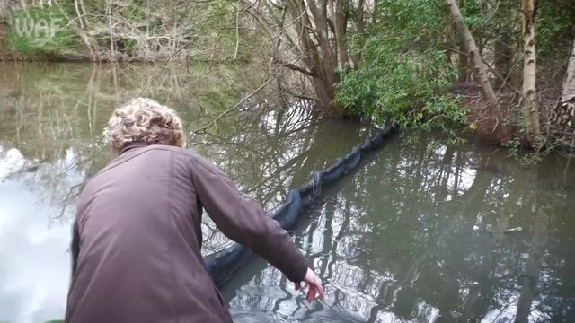Duck saved from horrific litter tangle смотреть онлайн