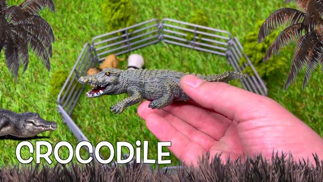 Учим Животных на английском Лев Слон Жираф Крокодил Панда Мультики для Детей Английский для Детей смотреть онлайн