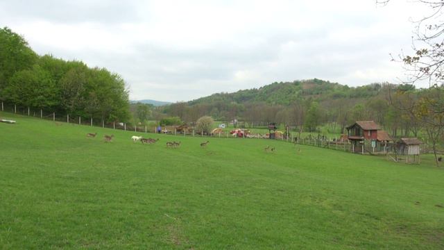 Zlatno klasje: Kontrolirani uzgoj divljači смотреть онлайн