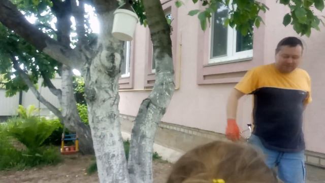 Голодный кот и живая рыба на дереве. смотреть онлайн