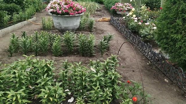 # Обзор#дачи 27 июля 2020 г. смотреть онлайн