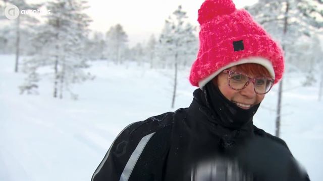 Een hondenslee safari in Fins Lapland | 50 ways to kill your mommy смотреть онлайн