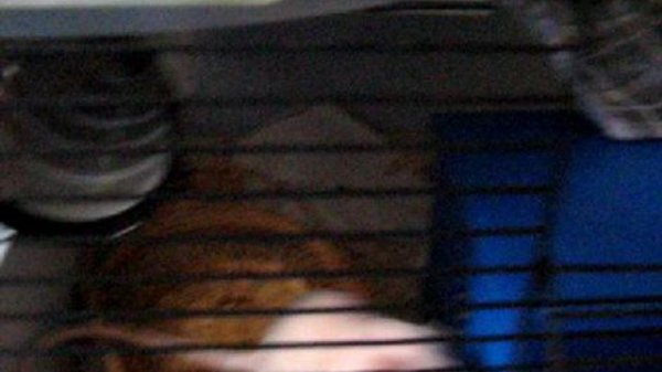 Федор шилопопик...