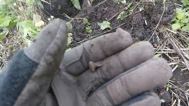 Копари на копе # 1 ! Серебряный образок и крестики смотреть онлайн