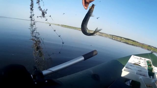 Открытие лодочного сезона. ловля щуки оз. Иван смотреть онлайн