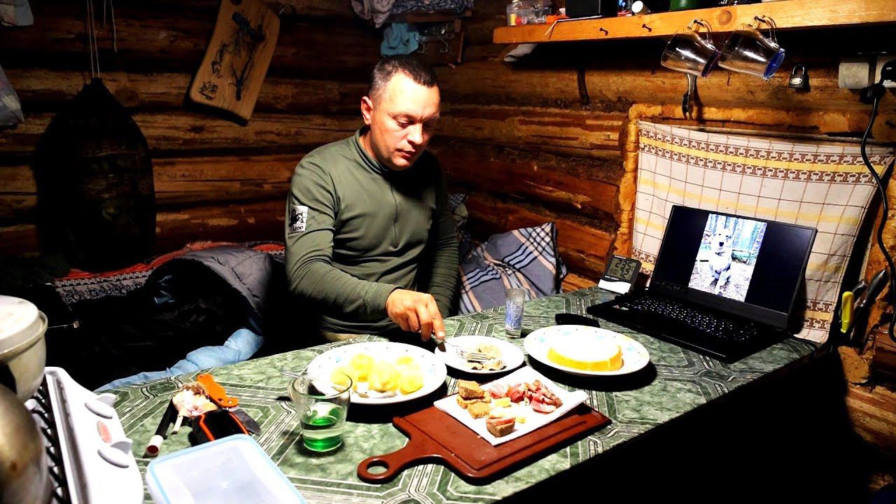 Это был ВОЛК! Искал двое суток. | Вышел на болото | Последнее видео с Пургой. смотреть онлайн