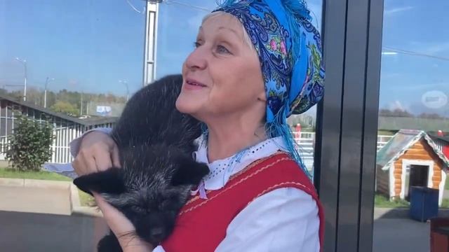 "Пушистый театр" в Сибирском Зоопарке в Солнечном! смотреть онлайн