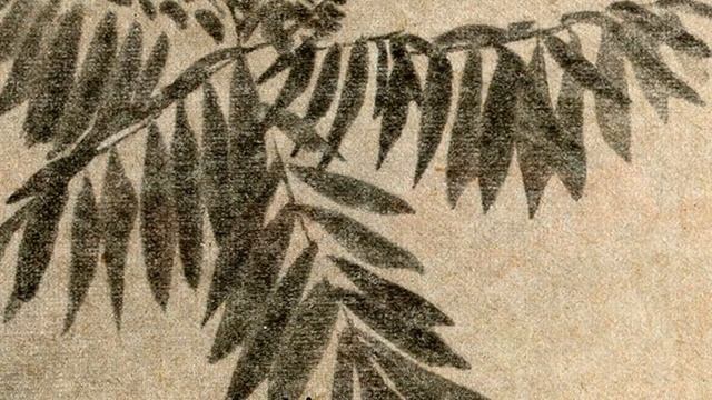 Александр Суханов "Обманите меня"(М. Волошин стихи и акварели) смотреть онлайн