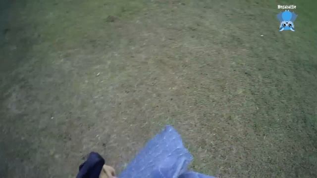Hard releasing a flying-fox back into the colony: this is Prophecy смотреть онлайн